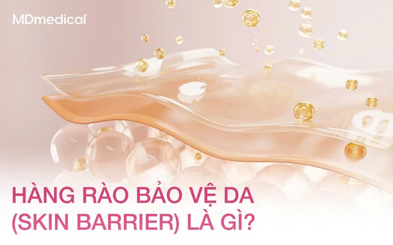 Hàng rào bảo vệ da (Skin Barrier) là gì? Cách phục hồi màng lipid sau tổn thương do tia UV