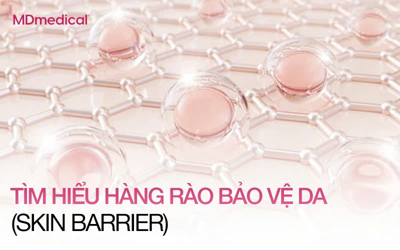 HÀNG RÀO BẢO VỆ DA (SKIN BARRIER): HIỂU ĐÚNG ĐỂ CHĂM SÓC LÀN DA KHỎE MẠNH